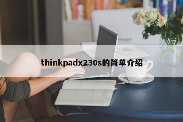 thinkpadx230s的简单介绍